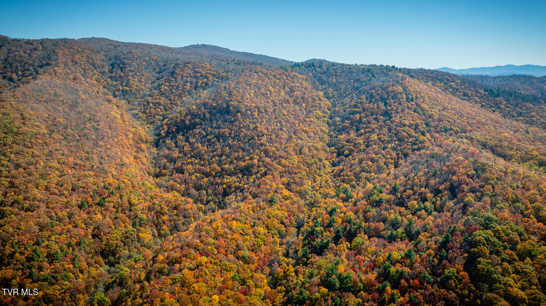 Tbd Of Bishop Road, Laurel Bloomery, Tennessee image 8