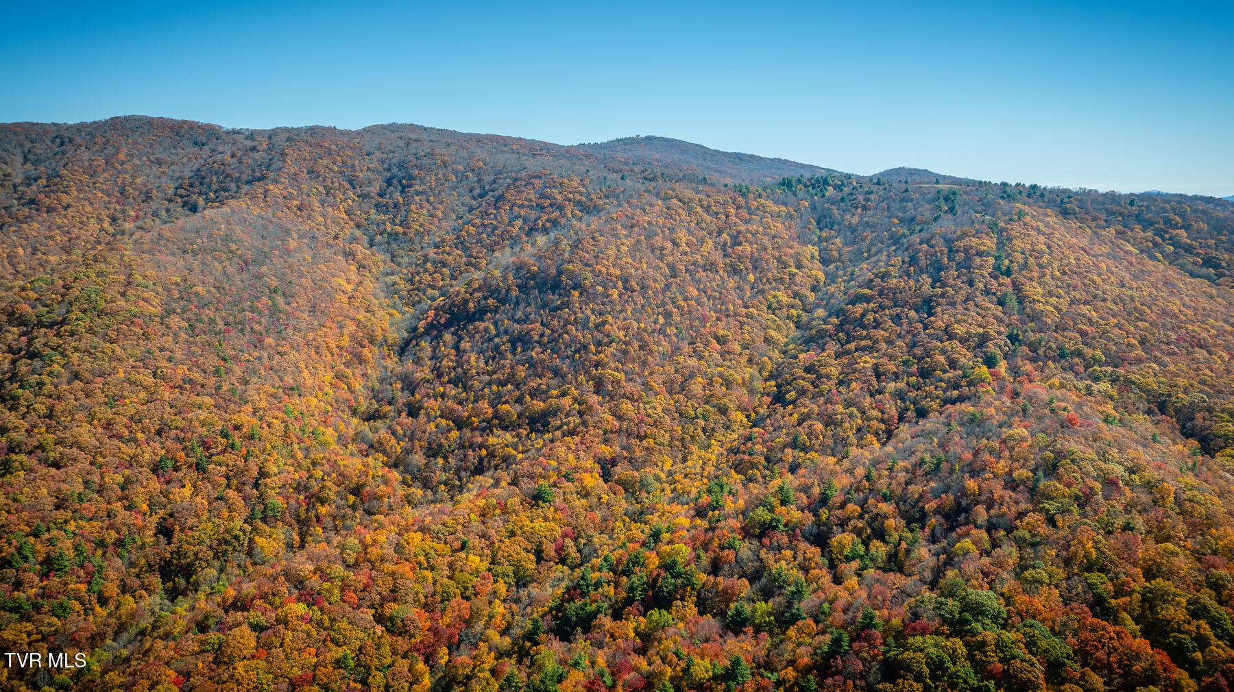 Tbd Of Bishop Road, Laurel Bloomery, Tennessee image 9