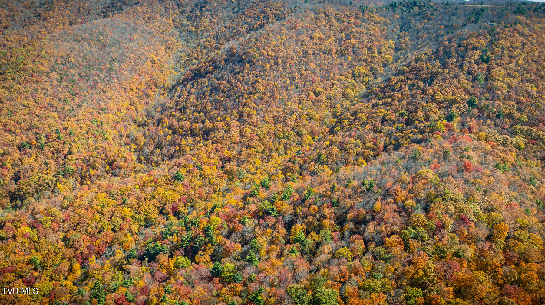 Tbd Of Bishop Road, Laurel Bloomery, Tennessee image 15