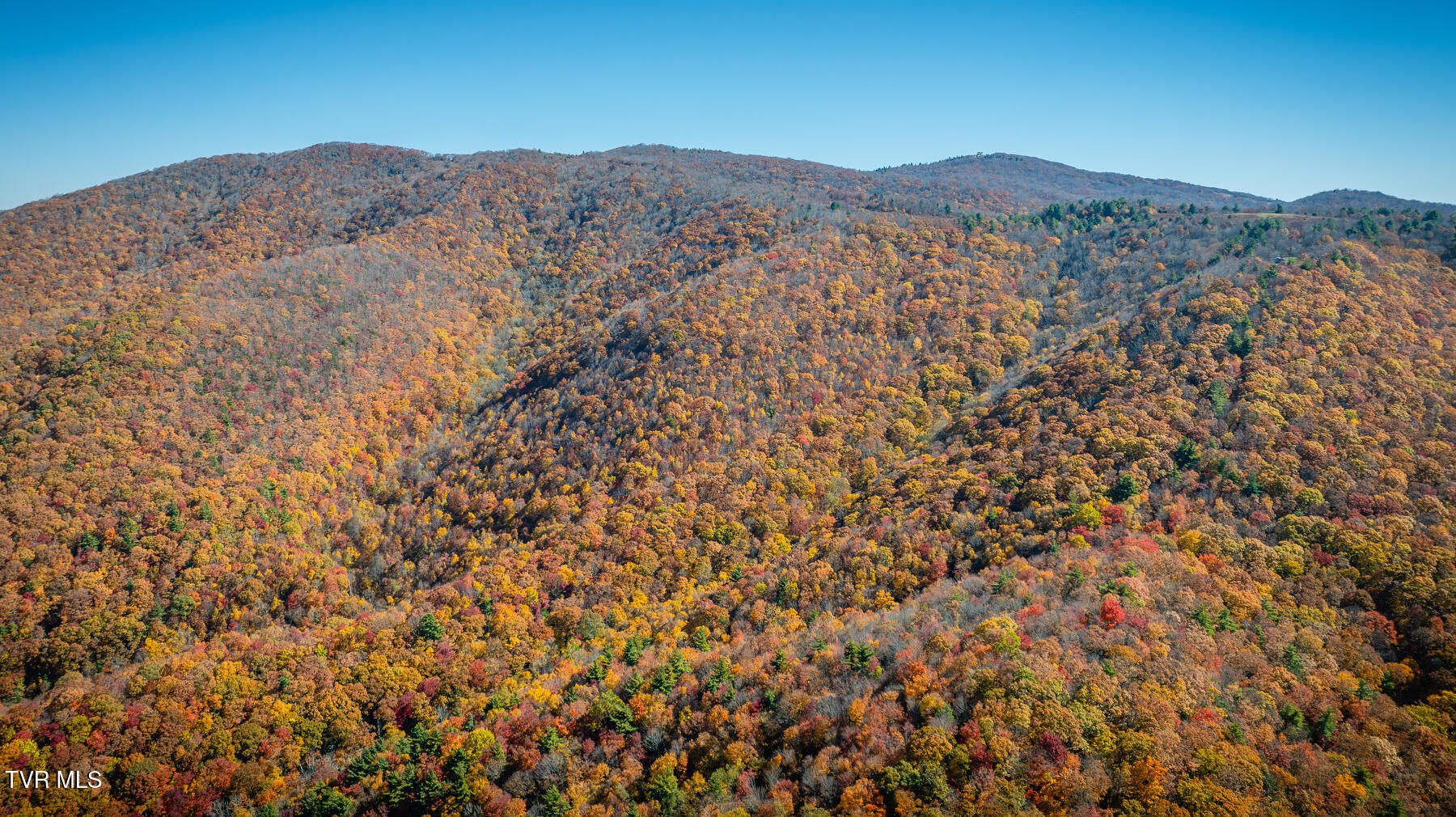 Tbd Of Bishop Road, Laurel Bloomery, Tennessee image 10