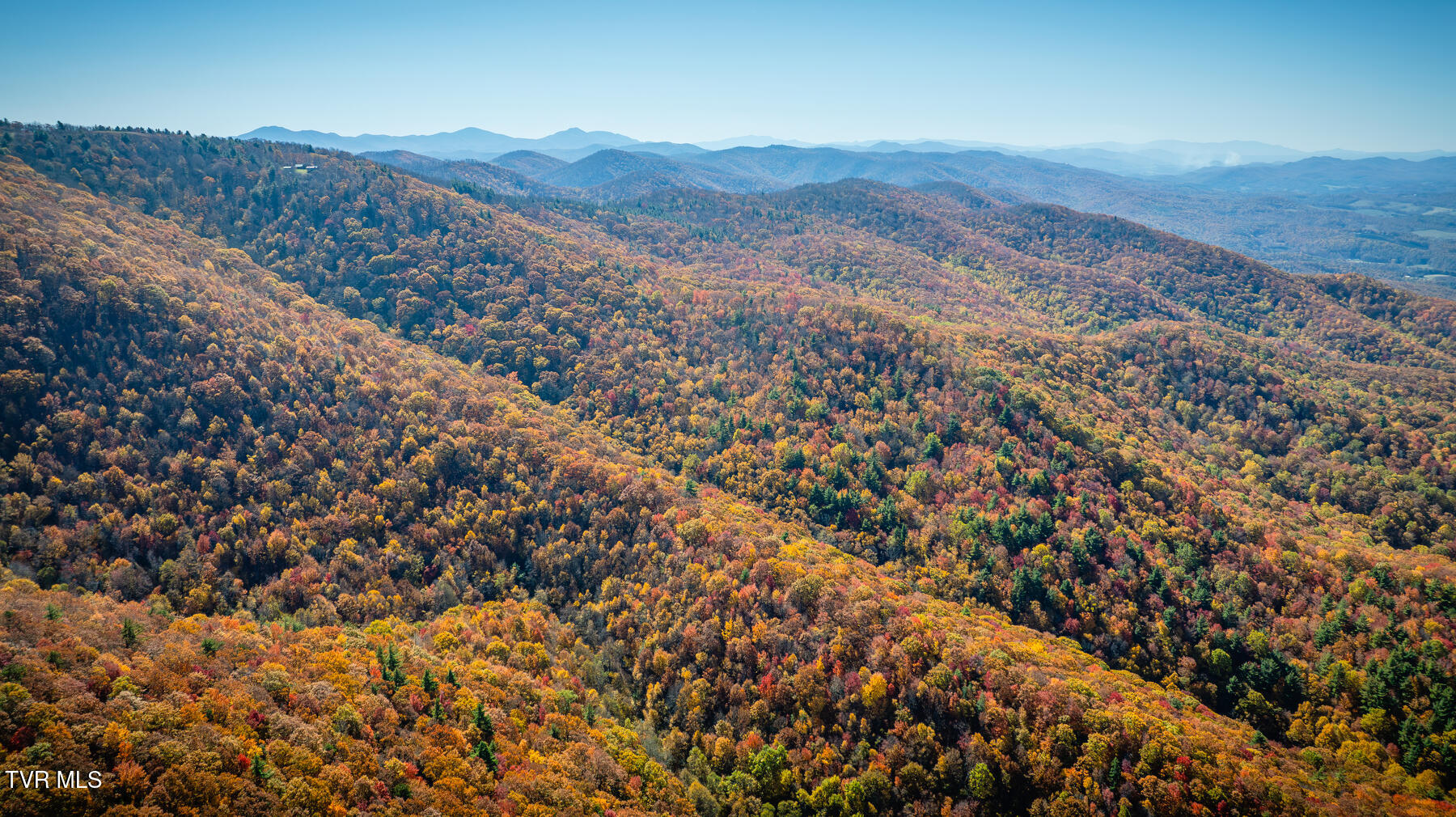 Tbd Of Bishop Road, Laurel Bloomery, Tennessee image 5