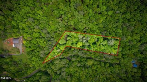 Vacant Land For Sale - TBD Norris Road<br/> Johnson County, Butler, TN 37640
