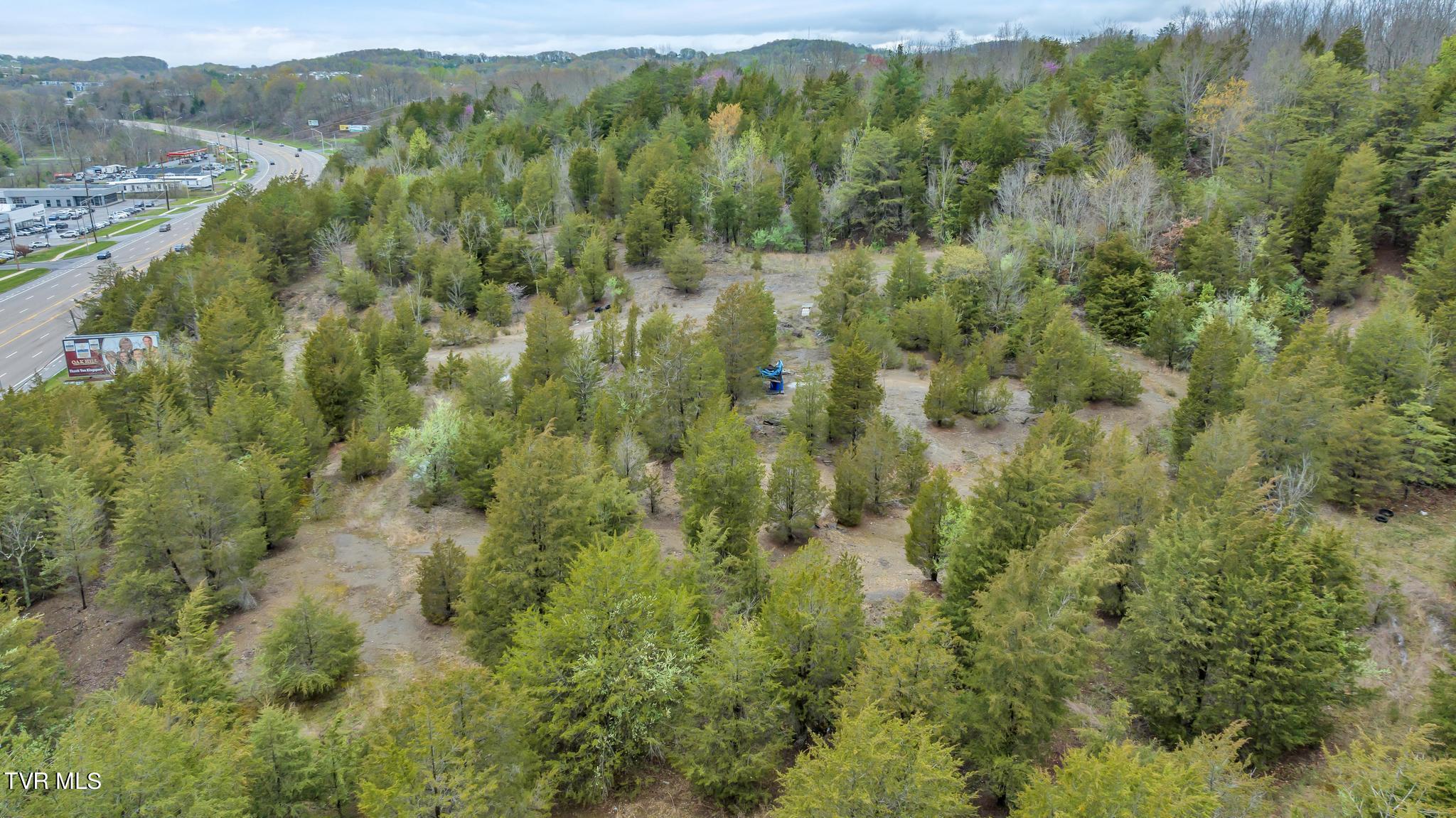 Tbd Stone Drive, Kingsport, Tennessee image 15