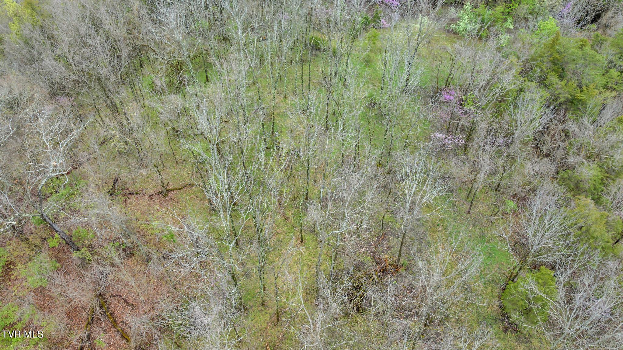 Tbd Stone Drive, Kingsport, Tennessee image 9