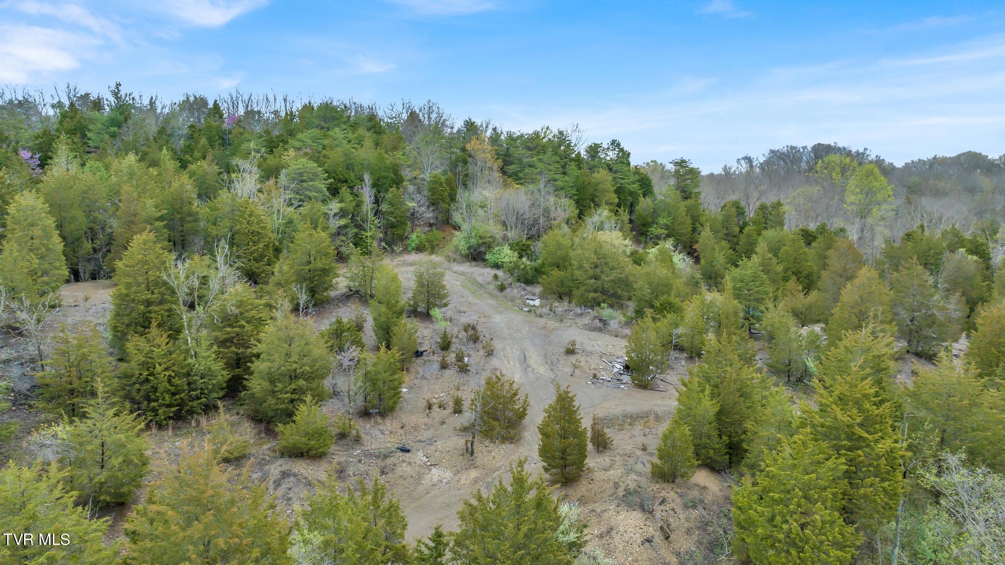 Tbd Stone Drive, Kingsport, Tennessee image 12
