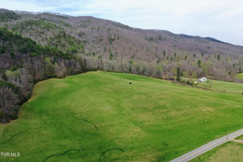 Vacant Land For Sale - 35/AC Tbd Houston Valley Tract 1 Road<br/> Greeneville, TN 37743