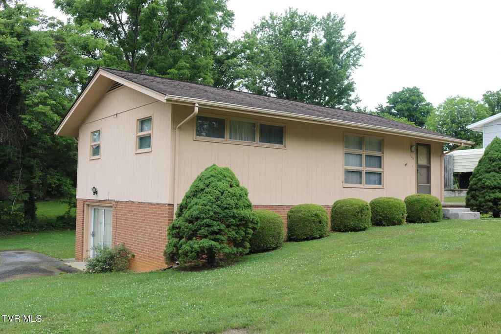 Photo of 108 Mayor Avenue, Greeneville, TN 37745 (MLS # 9995978)