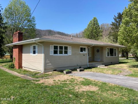 Homes For Sale - 124 Cates Corner Road<br/> Carter County, Hampton, TN 37658