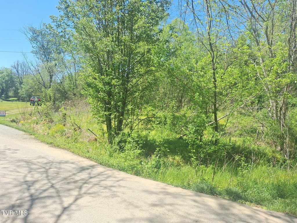 Photo of 692 Gatewood Road, Greeneville, TN 37745 (MLS # 9993969)