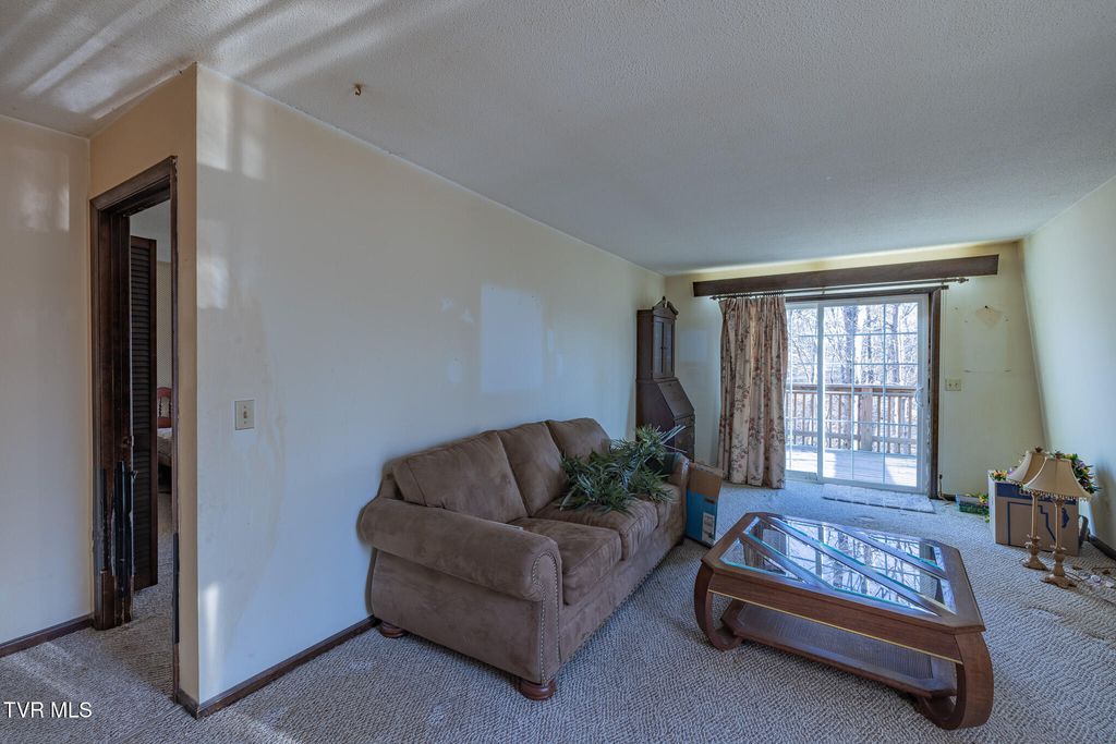 Photo of 201 Tamassee Drive, Johnson City, TN 37601 (MLS # 9990363)