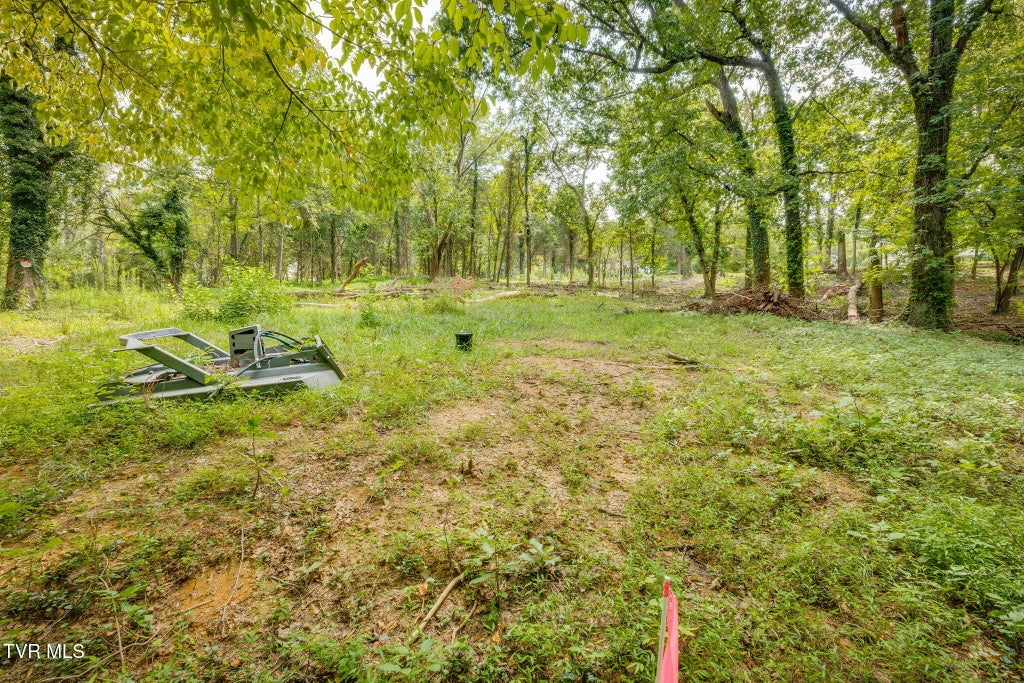 Photo of 3634 Thornton Drive, Kingsport, TN 37664 (MLS # 10000179)