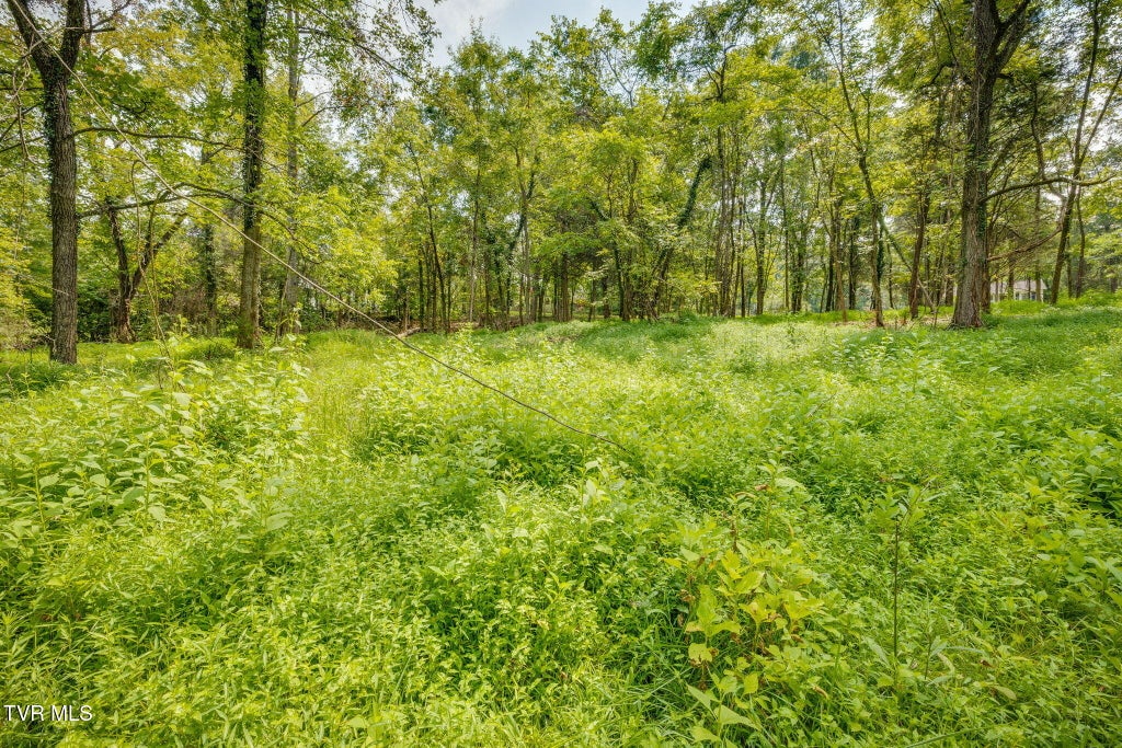 Photo of 3634 Thornton Drive, Kingsport, TN 37664 (MLS # 10000179)