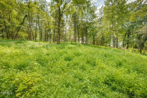 Vacant Land For Sale - 3634 Thornton Drive<br/> Sullivan County, Kingsport, TN 37664