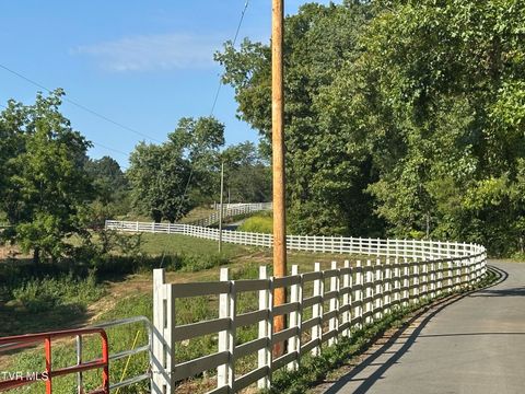 Photo of 241 Stagecoach Road, Greeneville, TN 37743 (MLS # 9985185)