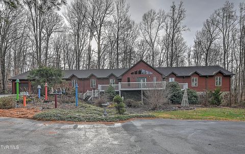 Photo of 311 Big Springs Road, Elizabethton, TN 37643 (MLS # 9989173)