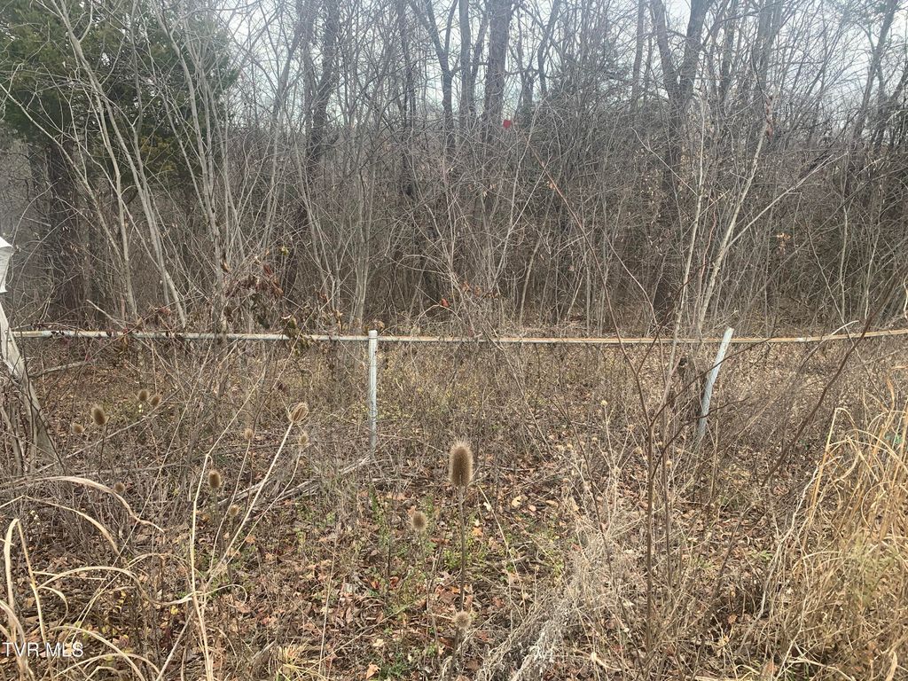 Photo of Tbd Kingsport Hwy, Greeneville, TN 37745 (MLS # 9990560)