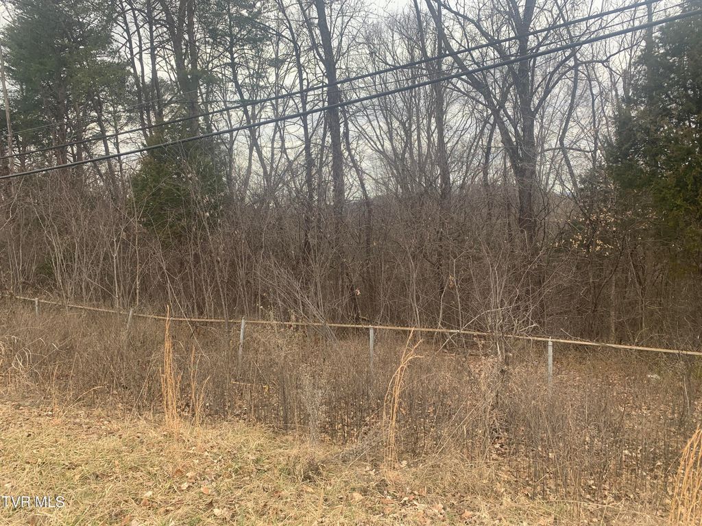 Photo of Tbd Kingsport Hwy, Greeneville, TN 37745 (MLS # 9990560)