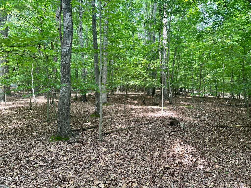 Photo of 8 Woods Ridge Road, Dandridge, TN 37725 (MLS # 9992878)