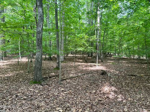 Vacant Land For Sale - 8 Woods Ridge Road<br/> Dandridge, TN 37725