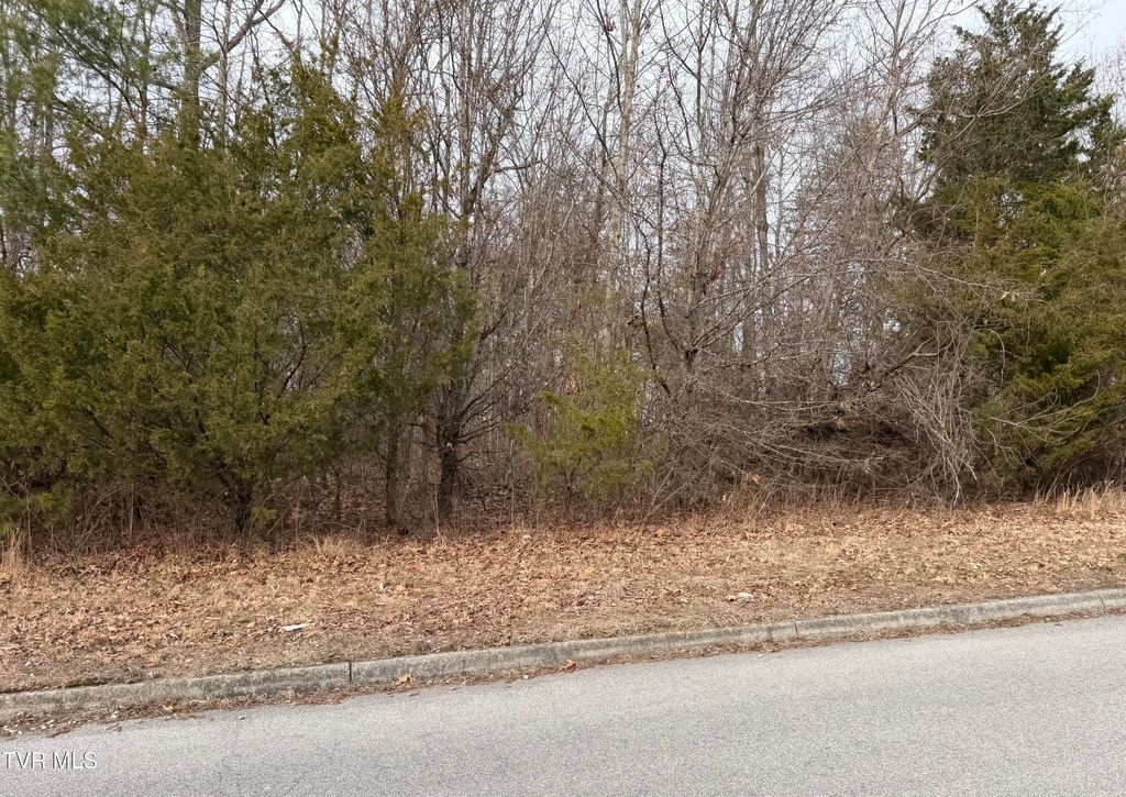 Photo of 400 Century Court, Piney Flats, TN 37686 (MLS # 9991794)