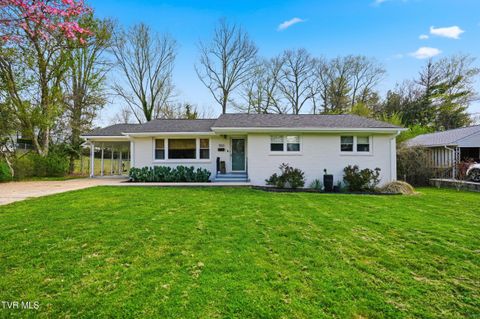 Photo of 1503 Linden Street, Johnson City, TN 37601 (MLS # 9993292)