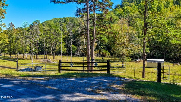 628 GRASSY CREEK RD, ROGERSVILLE, TN 37857 - Image 4291fbf18e9893dbf8cdc3e55e5a749a/3260797003