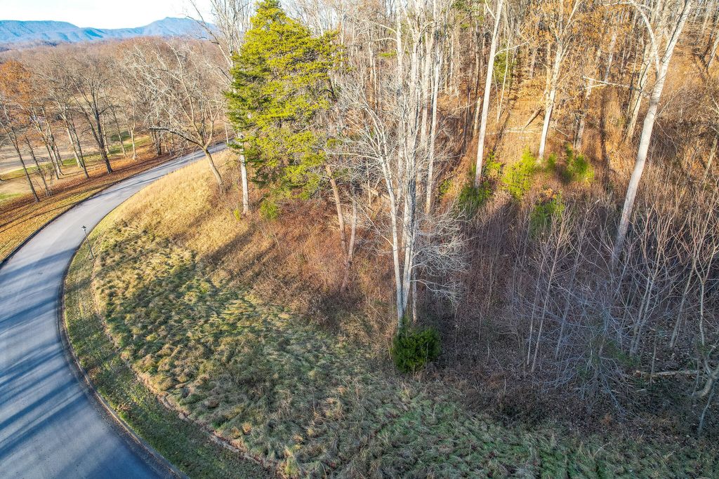 Photo of 765 Chimney Top Lane, Chuckey, TN 37641 (MLS # 9991931)