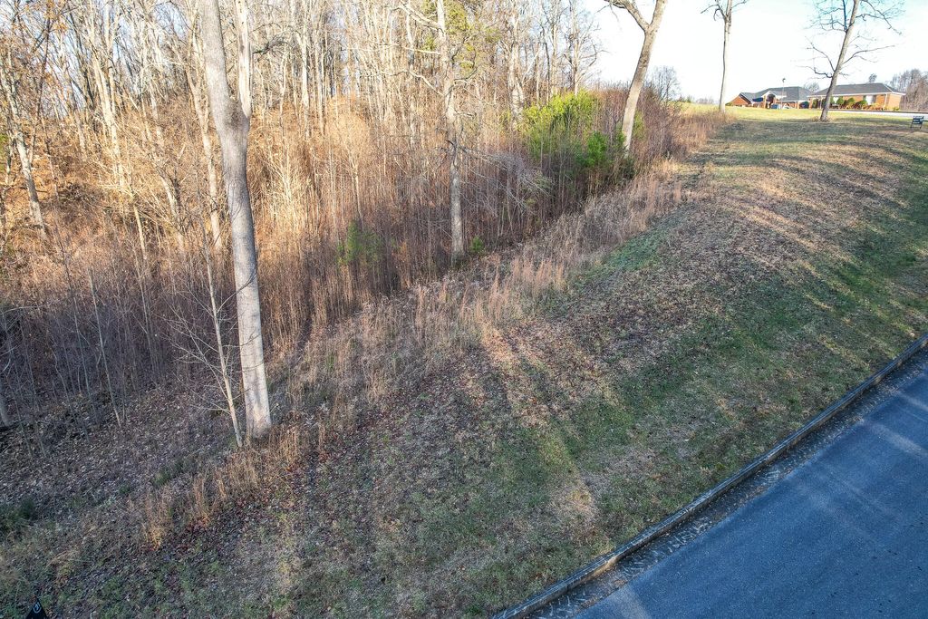 Photo of 765 Chimney Top Lane, Chuckey, TN 37641 (MLS # 9991931)