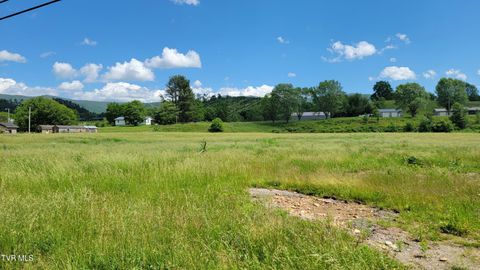 Vacant Land For Sale - 262 Stout Branch Road<br/> Johnson County, Mountain City, TN 37683