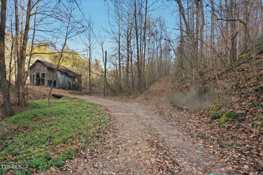 Photo of Tbd Manville Road, Gate City, VA 24251 (MLS # 9989521)
