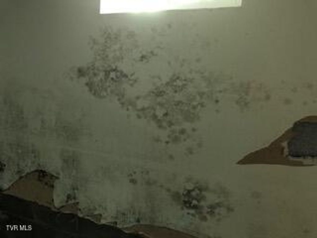 Photo of 3043 Lewis Creek Road, Honaker, VA 24260 (MLS # 9987680)