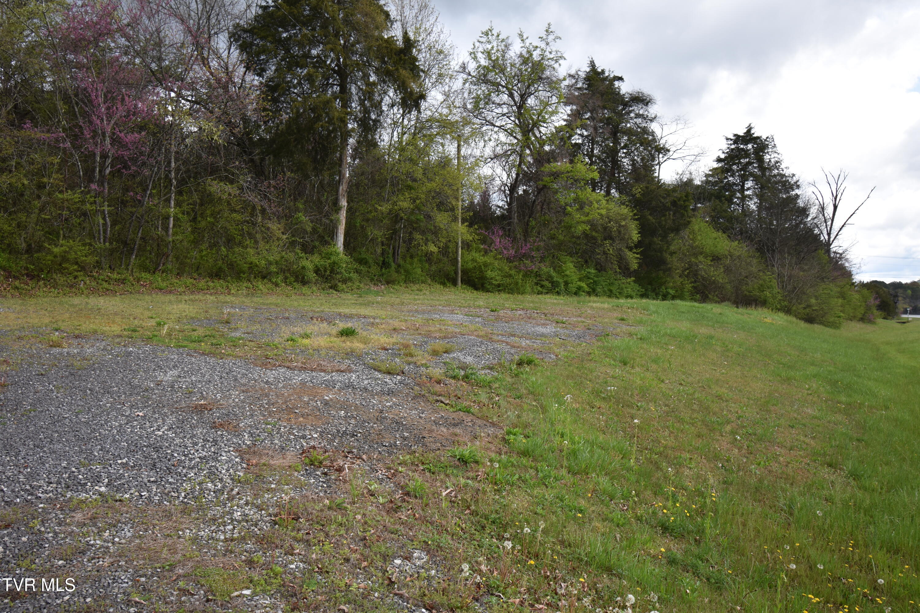 9946 Hwy 11w, Mooresburg, Tennessee image 3
