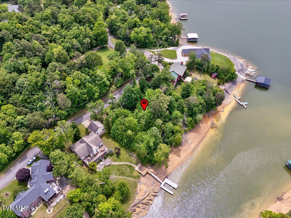 1618 Sequoyah Drive, Mooresburg, Tennessee image 11