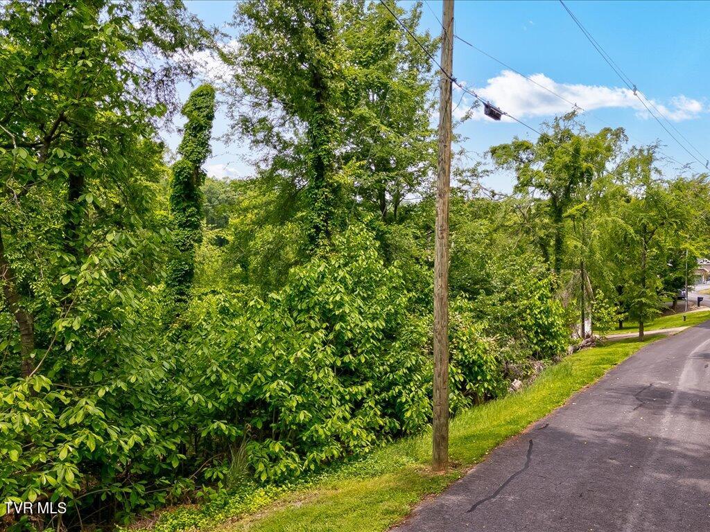 1618 Sequoyah Drive, Mooresburg, Tennessee image 6