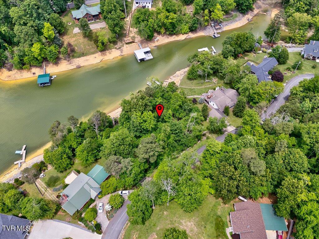 1618 Sequoyah Drive, Mooresburg, Tennessee image 7