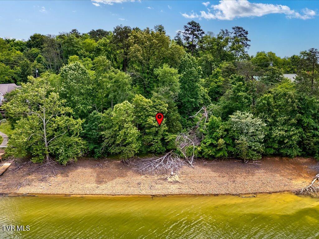 1618 Sequoyah Drive, Mooresburg, Tennessee image 23