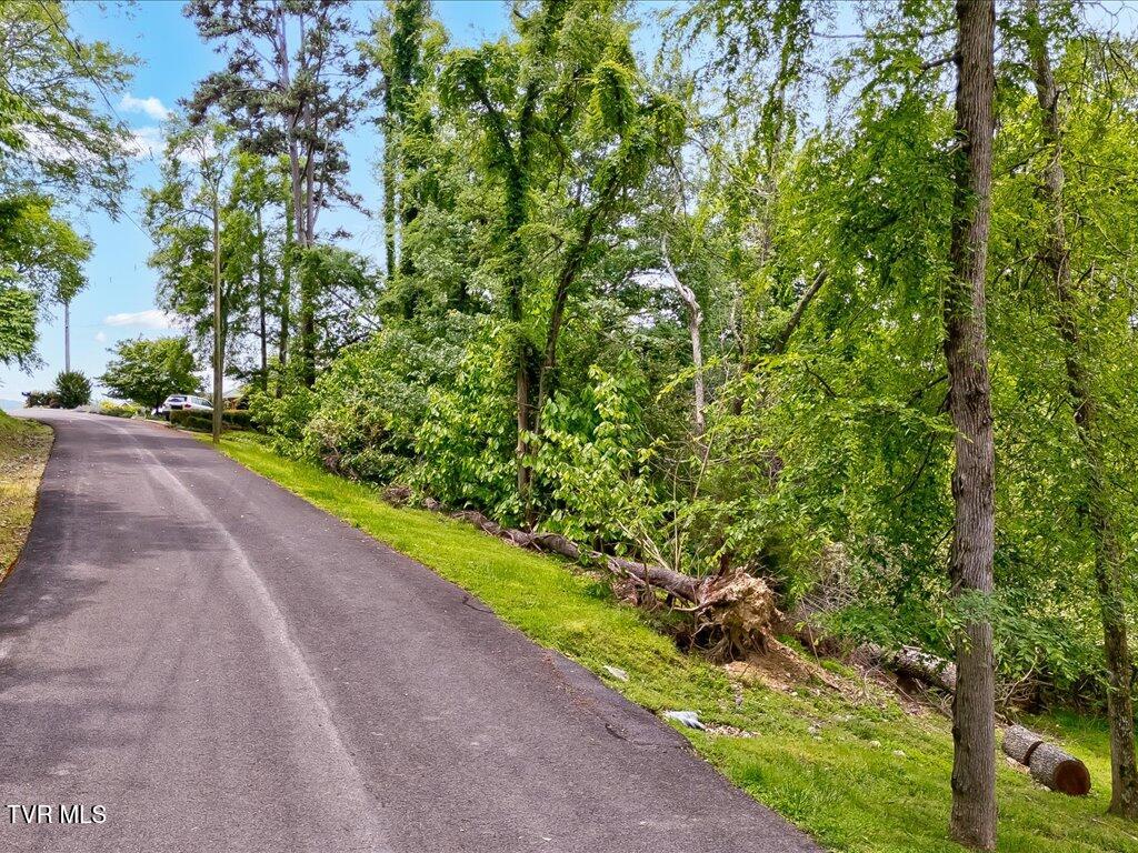 1618 Sequoyah Drive, Mooresburg, Tennessee image 4