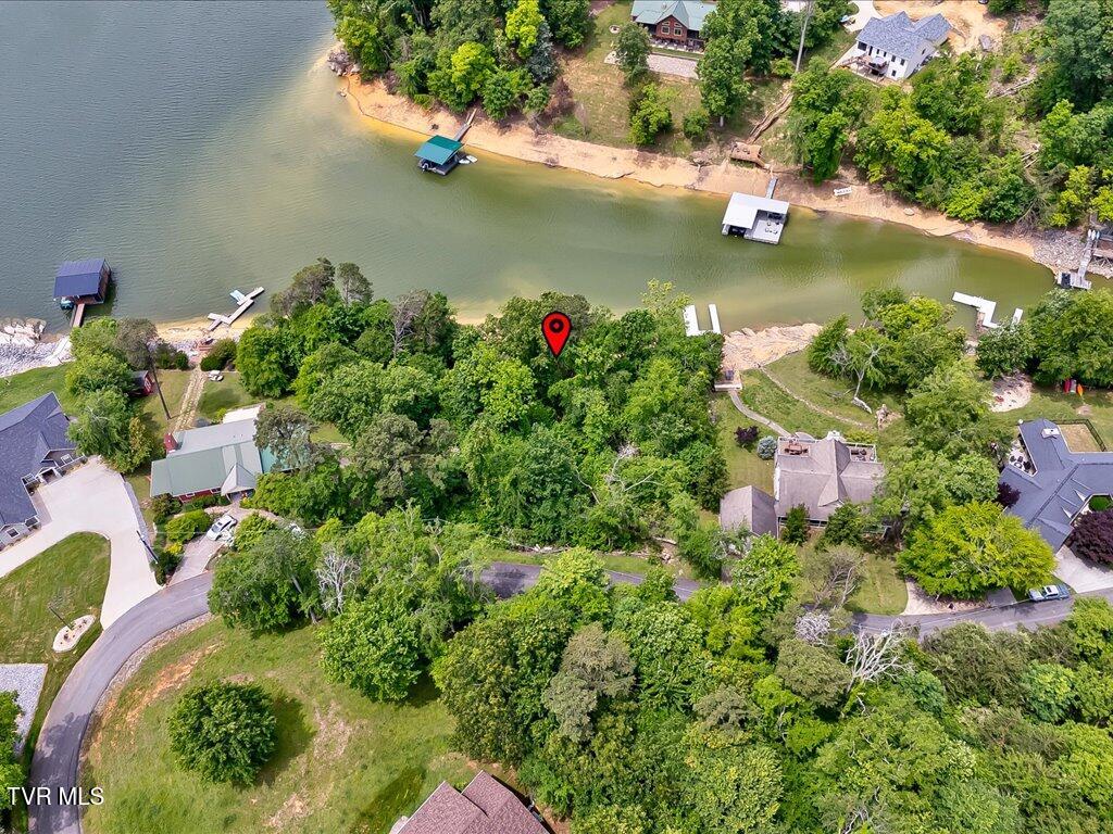 1618 Sequoyah Drive, Mooresburg, Tennessee image 3