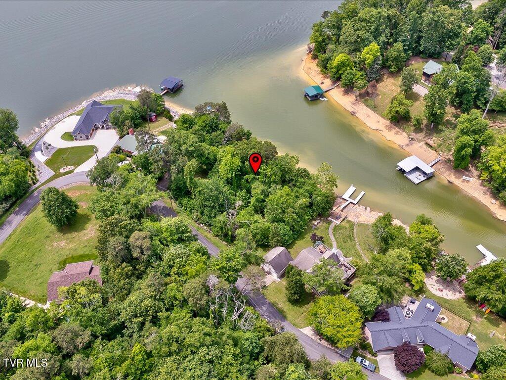 1618 Sequoyah Drive, Mooresburg, Tennessee image 13