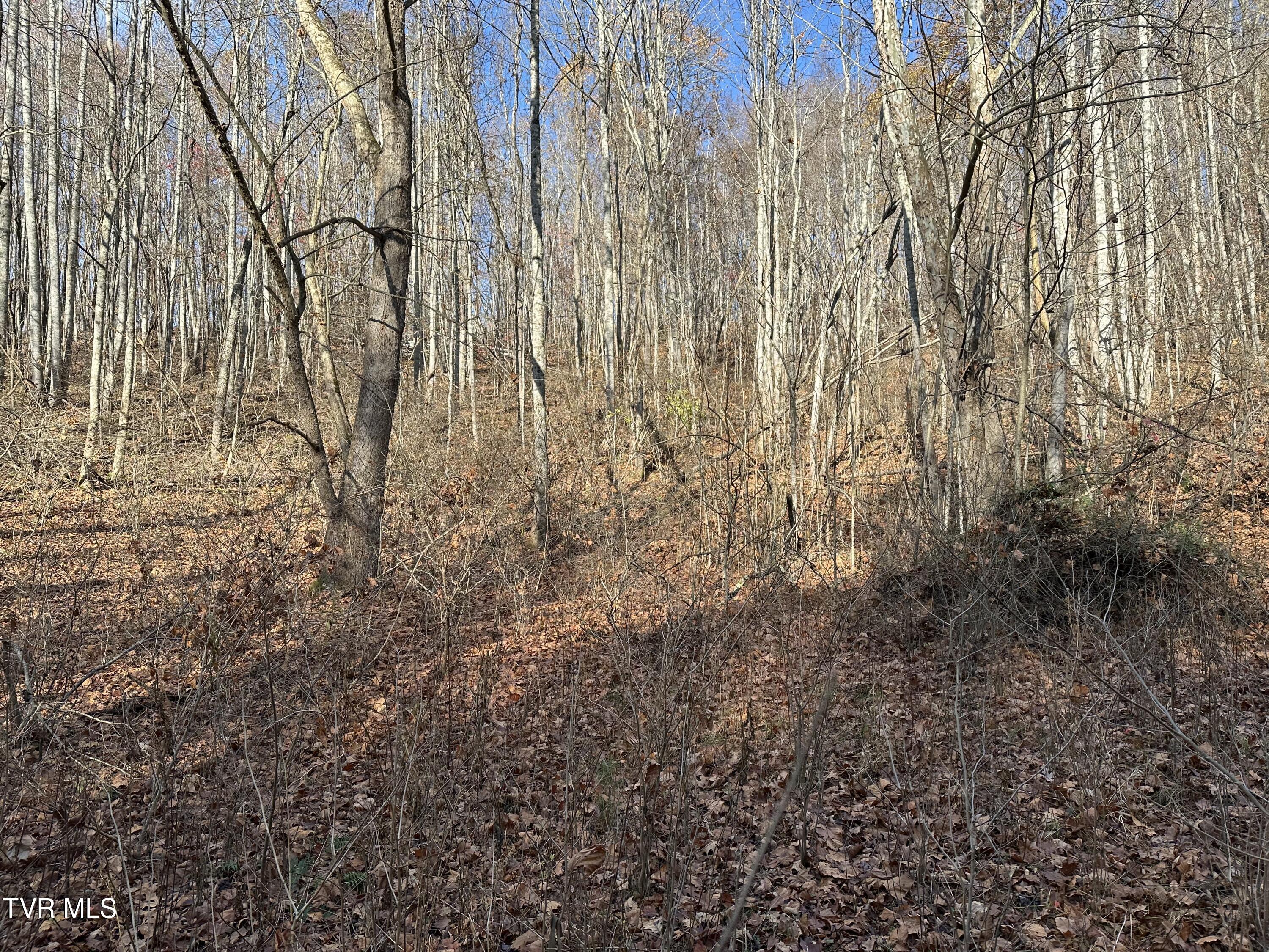Corn Ridge Lane, Nickelsville, Virginia image 48