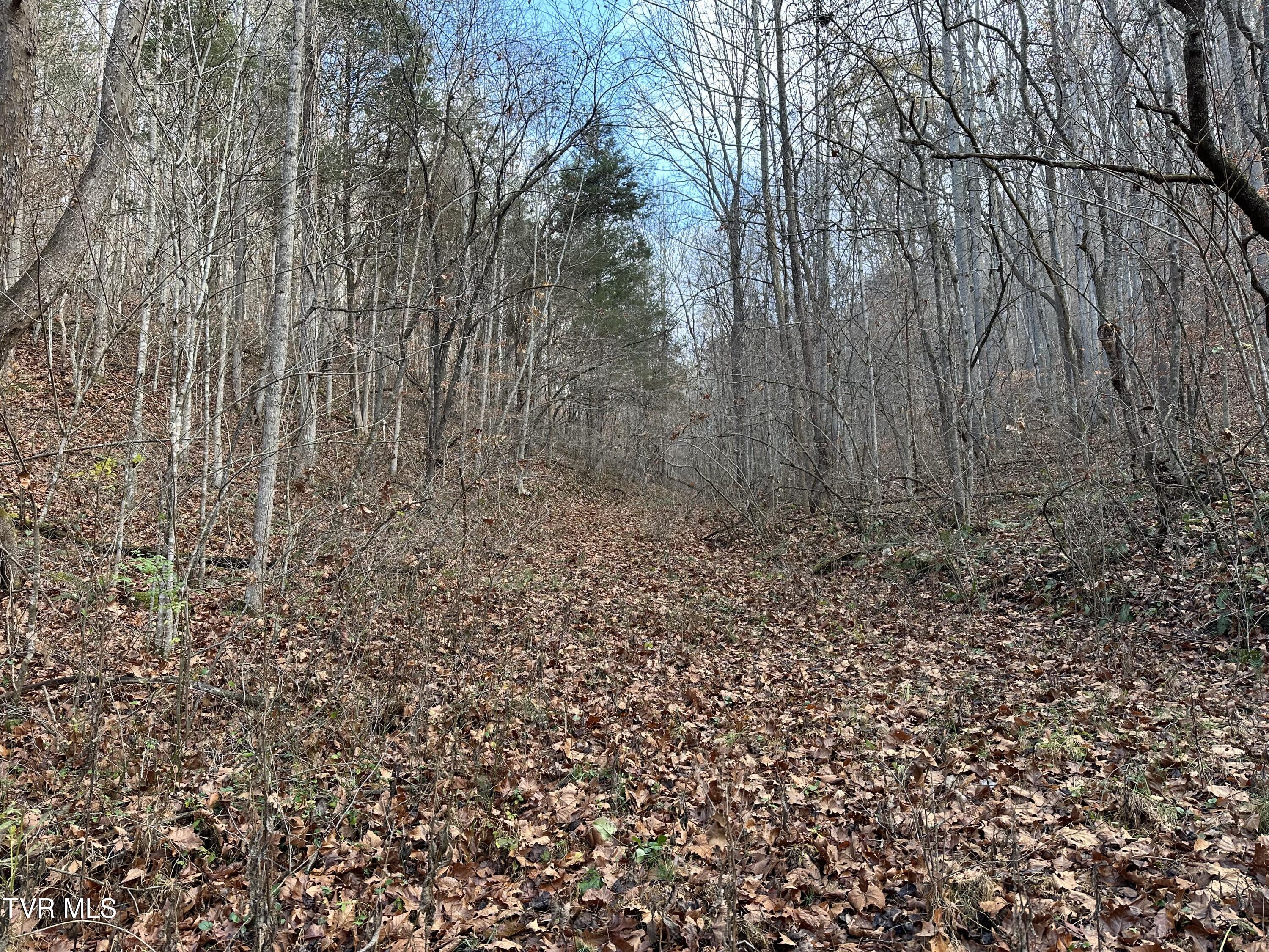 Corn Ridge Lane, Nickelsville, Virginia image 3