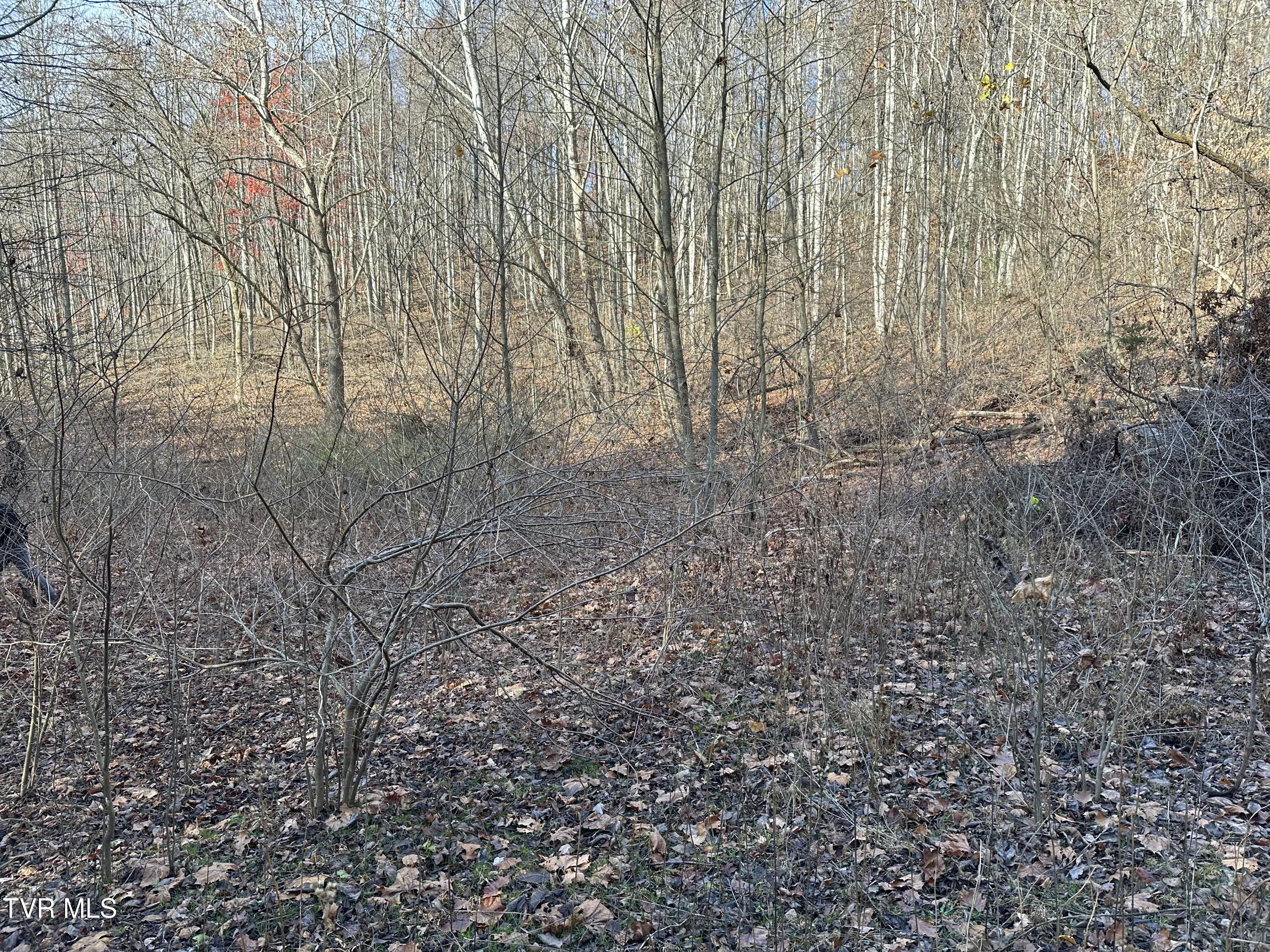 Corn Ridge Lane, Nickelsville, Virginia image 45