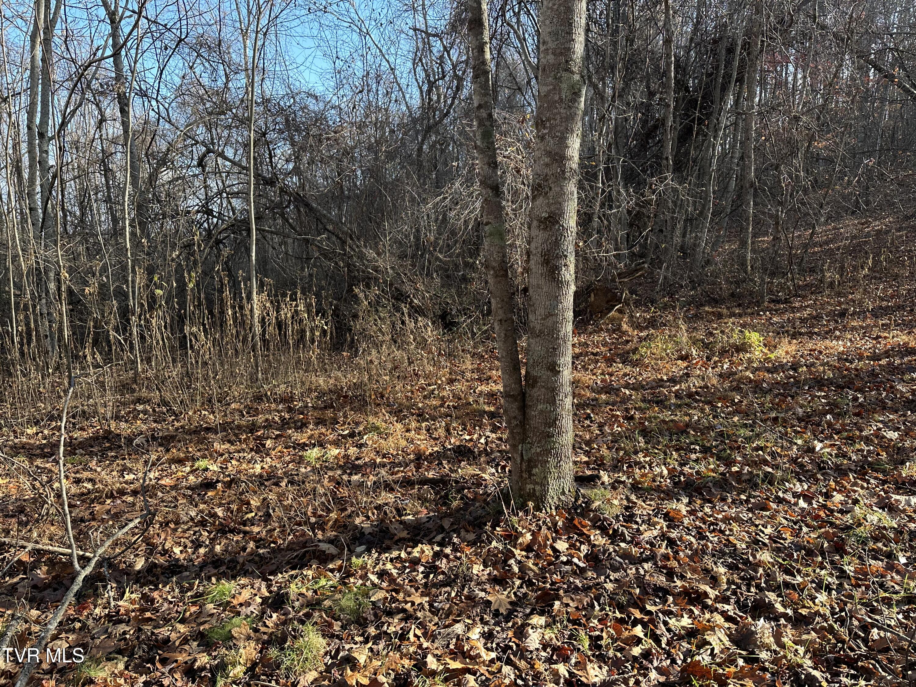Corn Ridge Lane, Nickelsville, Virginia image 42