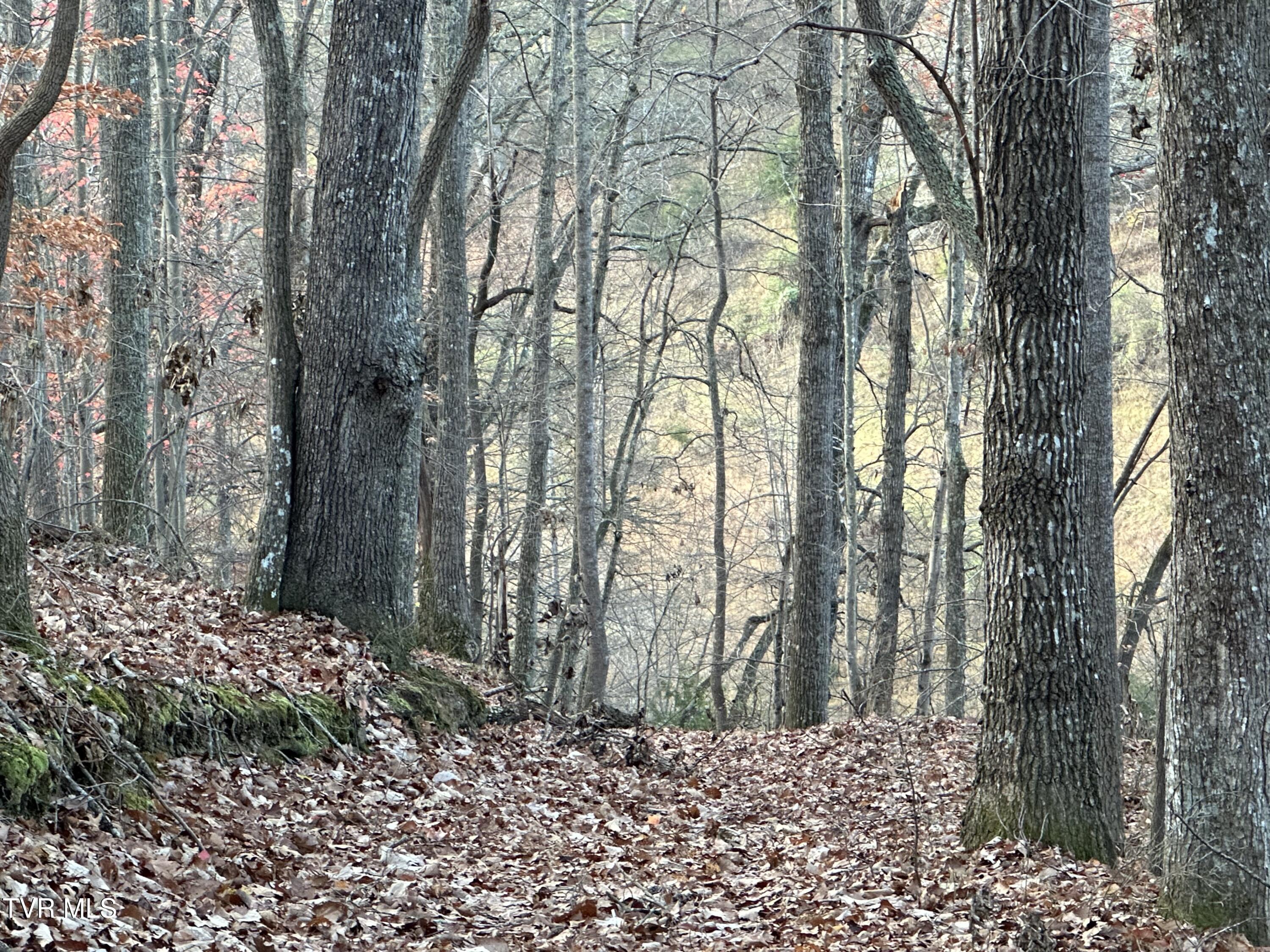 Corn Ridge Lane, Nickelsville, Virginia image 19