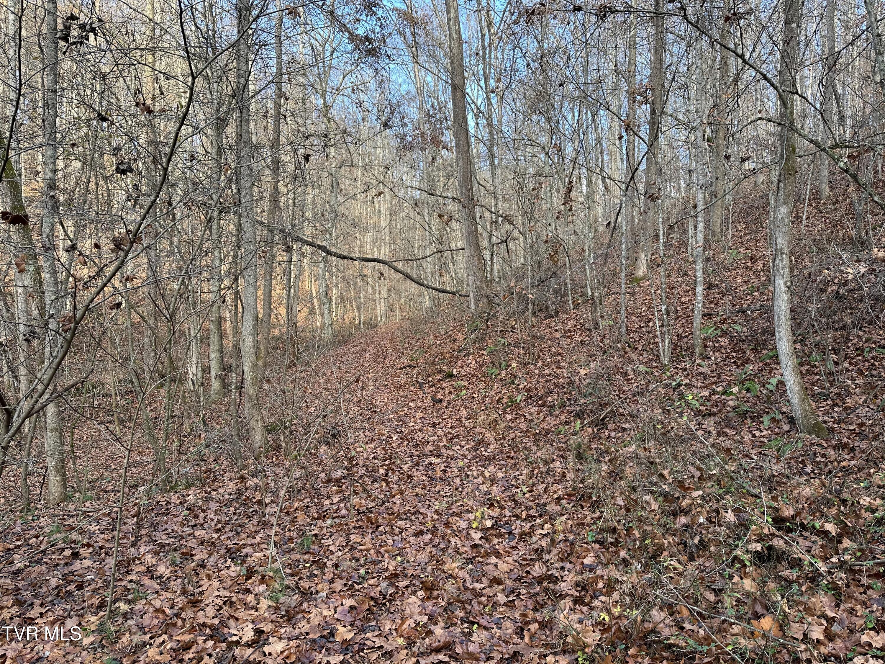 Corn Ridge Lane, Nickelsville, Virginia image 4