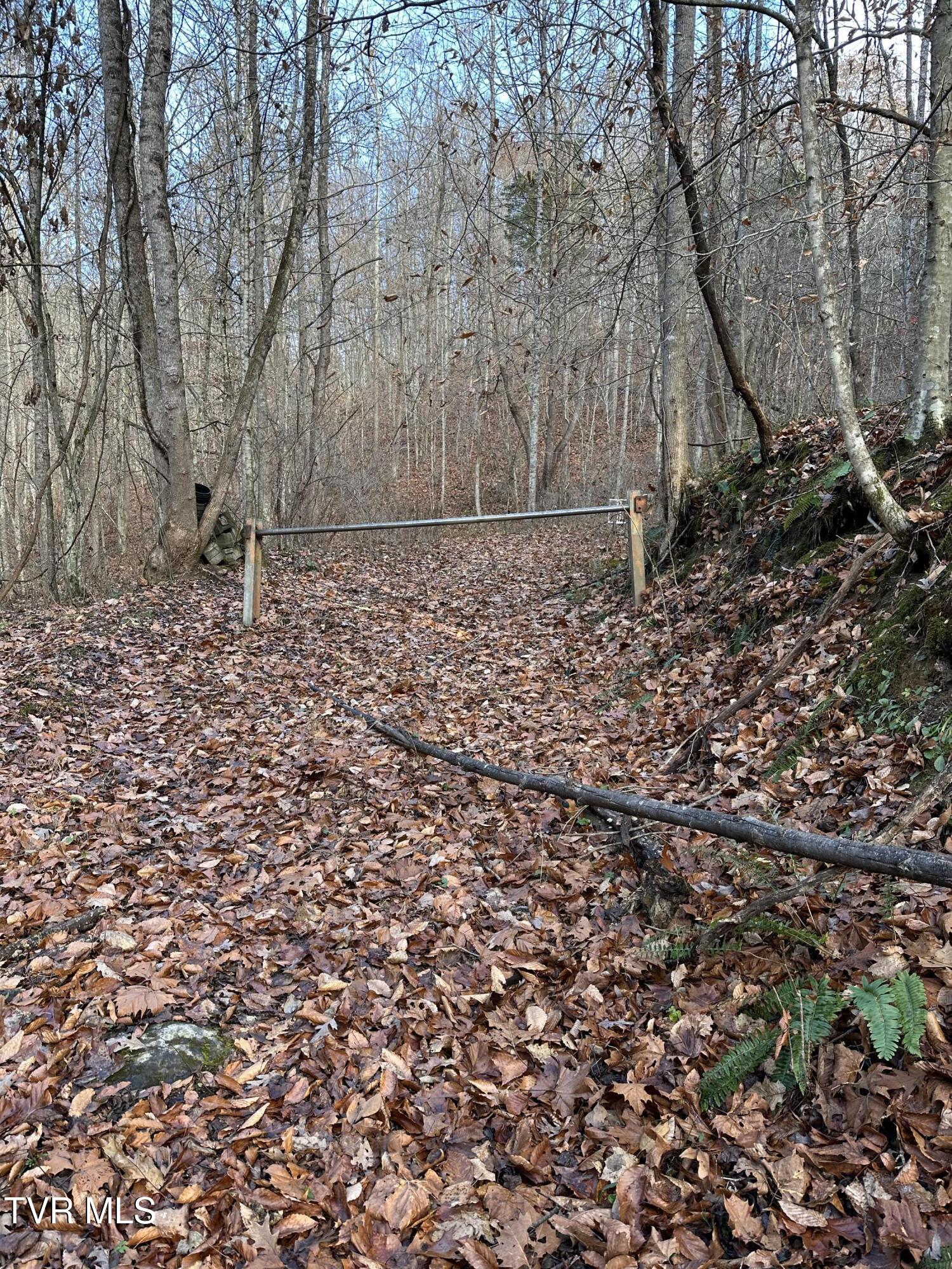 Corn Ridge Lane, Nickelsville, Virginia image 2