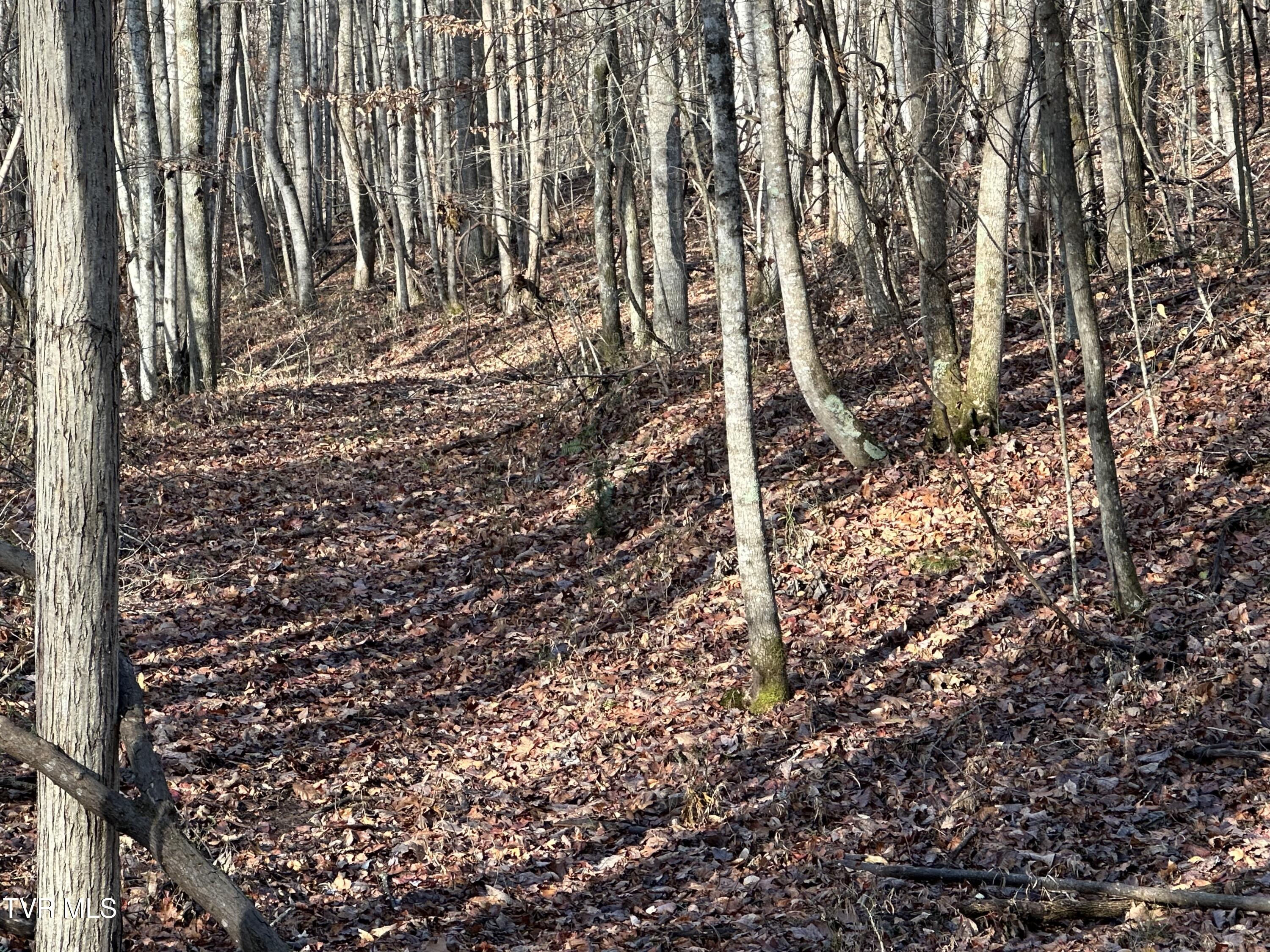 Corn Ridge Lane, Nickelsville, Virginia image 34