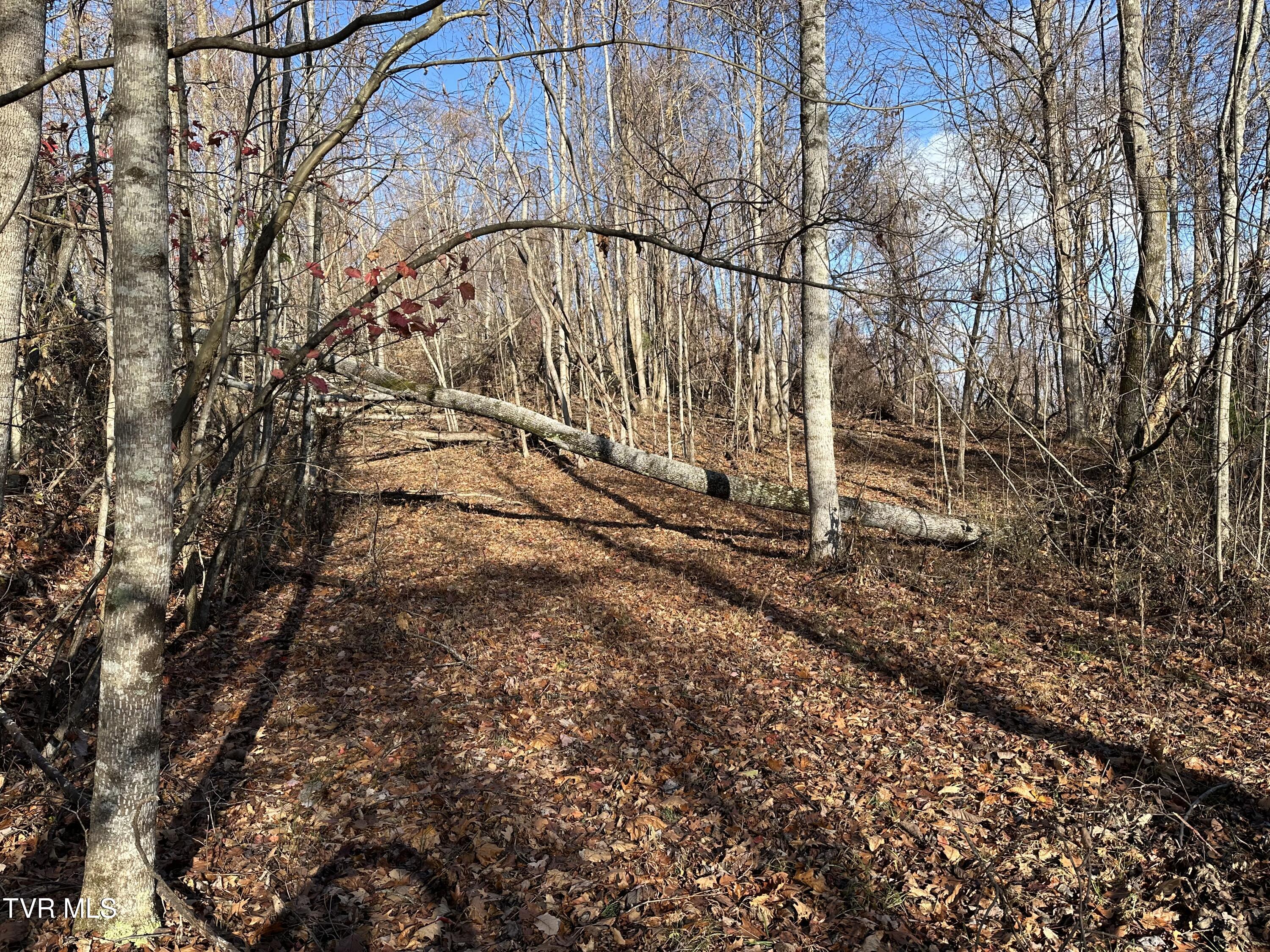 Corn Ridge Lane, Nickelsville, Virginia image 40