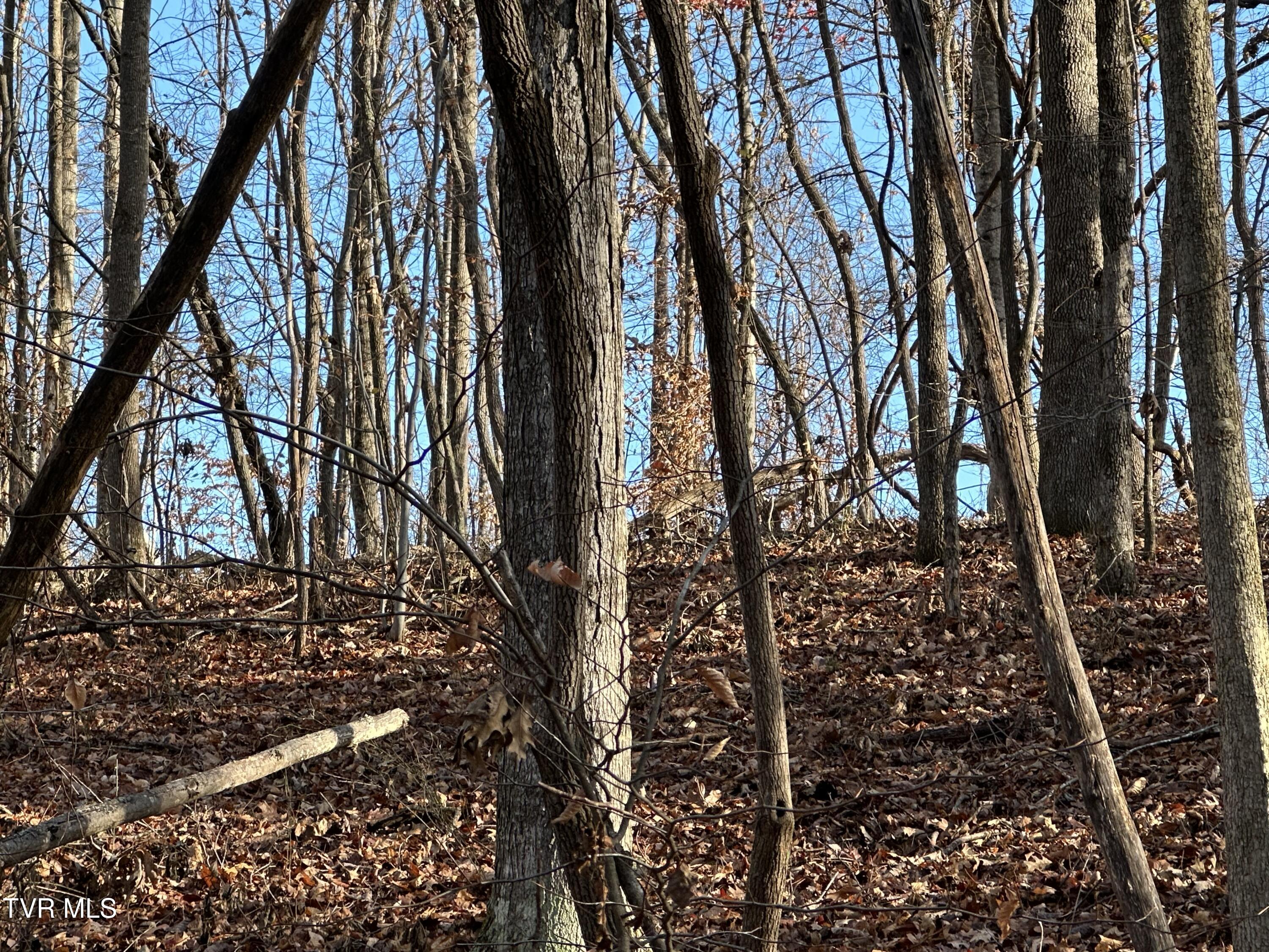 Corn Ridge Lane, Nickelsville, Virginia image 31