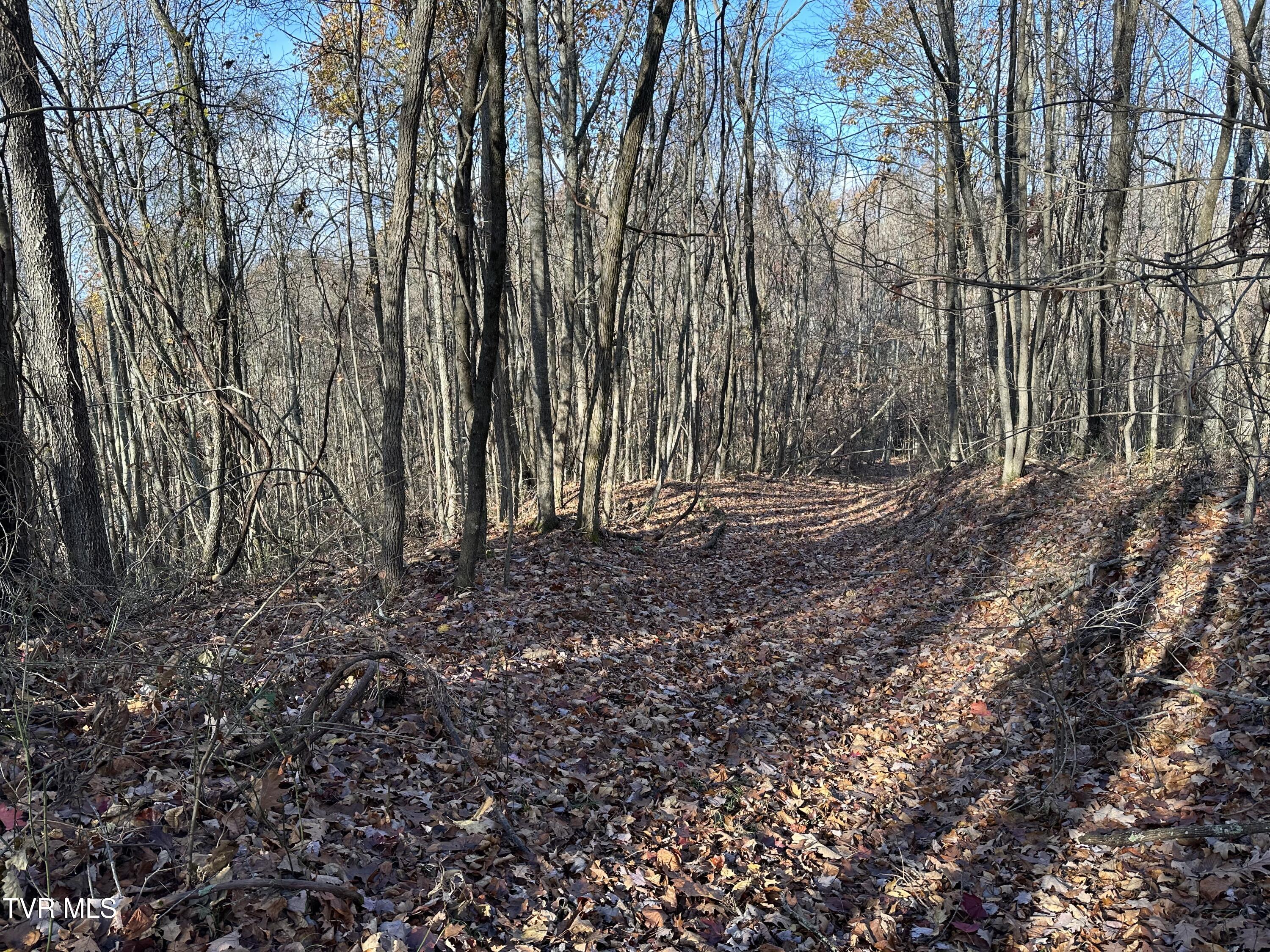 Corn Ridge Lane, Nickelsville, Virginia image 43